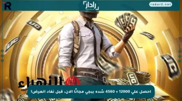 احصل على 12000 + 4560 شدة ببجي مجانًا الآن، قبل نفاد العرض!
